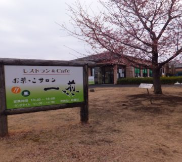 本日の昼食は、入間市博物館の中にある一煎さん