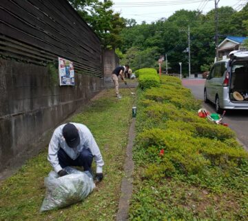 草刈り機で刈ったあとに、目立つ草を手で摘み取ります。なかなかの重労働です。