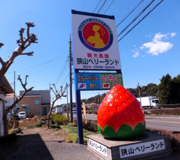 1時間ほどで到着したのは、例年同様の「狭山ベリーランド」さんです。今年は看板もオブジェも新しくなっていました。（笑）