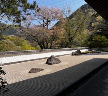 玉堂美術館に行くたびに、庭園を見させていただきますが、いつも気持ちが落ち着くようなひと時です。