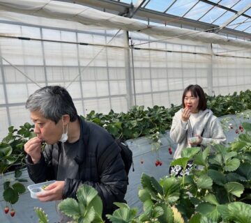 職員は食べるのに夢中です。