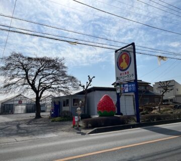 今回のいちご狩りは、前年度と同様に「狭山ベリーランド」でお世話になりました。