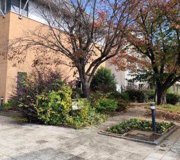 花壇は、建物の南側に位置しており、他の施設と分担して管理を行っています。