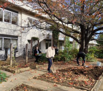 この日は、パンジー・ビオラ・ノースポール・チューリップ・パンジーの球根を植えました。