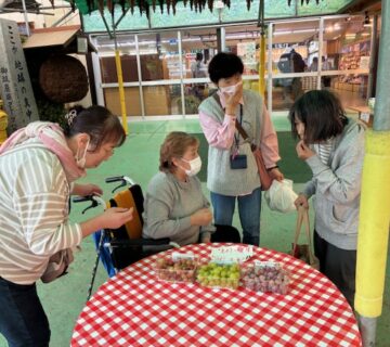 ぶどうの試食もあり、職員も、食べまくります。