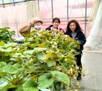 食べ放題の時間は30分ですが、短いようで、なかなかのんびりできました。