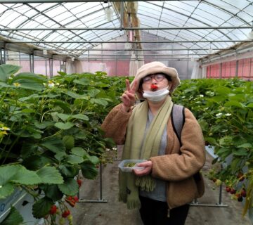 みなさん、紅ほっぺに夢中です。