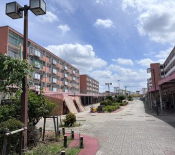 初夏に入り、すっかり空模様も夏型になってきました。